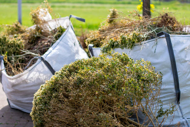 Best Mattress Removal Service  in Sun Lakes, AZ